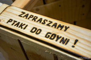 „Zapraszamy ptaki do Gdyni” // fot. Paweł Kukla