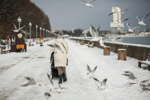Zima w Gdyni // fot. Karol Stańczak