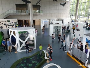 Ekstremalny Dzień Dziecka w Centrum Nauki Experyment // fot. Sławomir Okoń