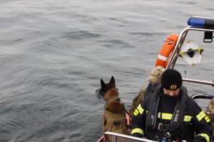 Ćwiczenia „Cerber” na terenie portu // fot. Port Gdynia, mat. prasowe