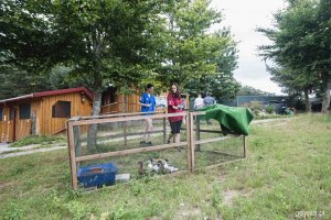 Pomorski Ośrodek Rehabilitacji Dzikich Zwierząt „Ostoja” w Pomieczynie, fot. Kamil Złoch