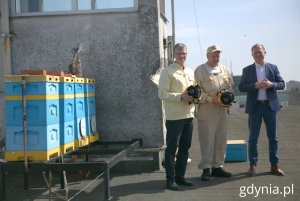 Na zdjęciu (od lewej): wiceprezydent Gdyni Rafał Geremek, prezes Rejonowego Koła Pszczelarzy w Gdyni Wojciech Albecki,  prezes zarządu OPEC Gdynia Wojciech Folejewski (fot. Natalia Kawalerowicz)