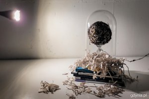 Wystawa „Część wspólna” w gdyńskim Konsulacie Kultury (fot. Karol Stańczak)