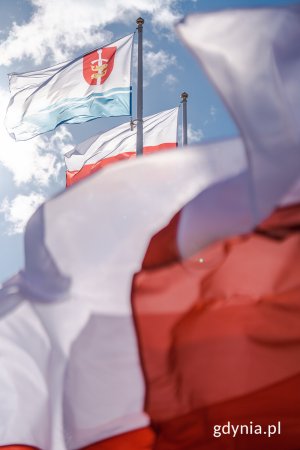 Uroczystości przy Pomniku Polski Morskiej w Gdyni z okazji 24. rocznicy przystąpienia Polski do NATO, fot. M. Dietrich