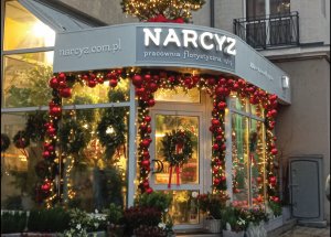 Kwiaciarnia Narcyz – 1. miejsce w konkursie na najlepszą witrynę świąteczną w Gdyni