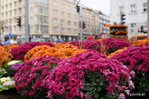 Gdynia w jesiennej odsłonie // fot. Paweł Kukla