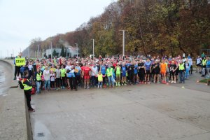 parkrun Gdynia // fot. Kaja Gąska