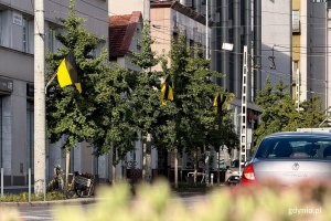 Kaszubskie flagi na masztach ul. 10 Lutego 