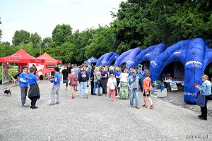 Piknik Europejski na Placu Wolnej Ukrainy w Gdyni (fot. Michał Puszczewicz)