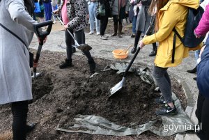 Gdynianie tłumnie zaangażowali się w sadzenie Drzewka Życia (fot. Magdalena Starnawska)