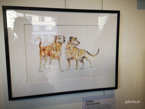 Wystawa „Pies z Ciapkowa” // fot. Karolina Szypelt
