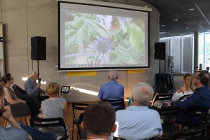 W UrbanLab Gdynia odbyła się pierwsza degustacja miodu prosto z dachu Urzędu Miasta Gdyni // fot. Zuzia Jalowska