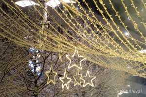 Świąteczne iluminacje na Placu Kaszubskim (fot. Paweł Budziński)