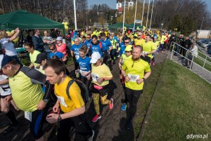 Pola Nadziei 2017 w Gdyni // fot. D. Linkowski
