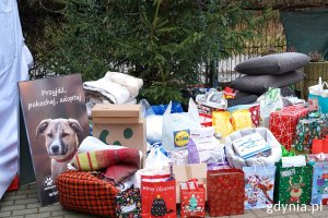 Prezenty dla zwierząt zostawione pod choinką