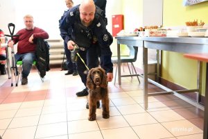 Leosia - polski spaniel myśliwski