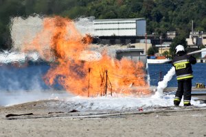 Ćwiczenia ratowniczo-gaśnicze w Porcie Gdynia / fot. Dorota Nelke