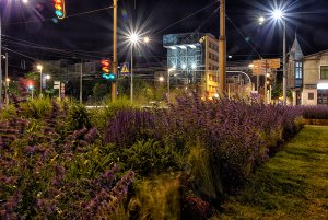 Gdynia nocą, fot. Michał Puszczewicz