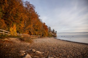 Barwy jesieni. Gdynia Orłowo // fot. Karol Stańczak 
