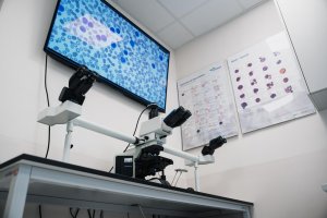 Monitory i mikroskopy elektroniczne