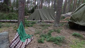 Harcerski Obóz w Czernicy po nawałnicy z 11.08 // fot. Piotr Kropidłowski