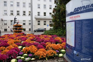 Gdynia w jesiennej odsłonie // fot. Paweł Kukla