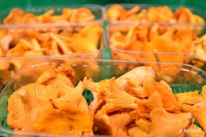 Żółte kurki w plastikowych opakowaniach // fot. Sławomir Okoń