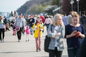 Pola Nadziei na pomorzu odbyły się już po raz siódmy // fot. Karol Stańczak