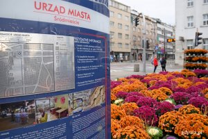 Gdynia w jesiennej odsłonie // fot. Paweł Kukla