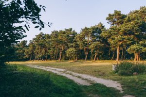 Babie Doły – kurort jeszcze nie odkryty fot. mat. prasowe LIS