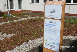 Gruntowy ogród deszczowy w Zespole Szkolno-Przedszkolnym nr. 3 w Gdyni (fot. Magdalena Starnawska)