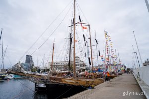 Jachty z duszą cumujące w Marinie Gdynia