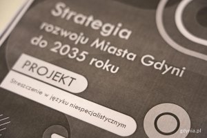egzemplarz Strategii 2035