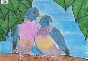 Praca konkursowa przedstawiająca parę gołębi grzywaczy.