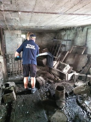 Mężczyźni w mundurach na zagraconym podwórku