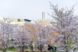 Park Centralny (fot. Paweł Budziński)