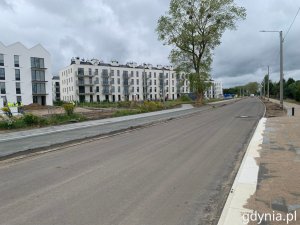 Przebudowa ul. Wiczlińskiej