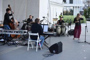 Koncerty plenerowe w ramach Ladies' Jazz Fetival 2017 // fot. M. Puszczewicz