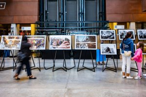 Uczestnicy wernisażu wystawy Gdańsk Press Photo 2026 w ogrodzie zimowym Europejskiego Centrum Solidarności przyglądający się fotografiom 