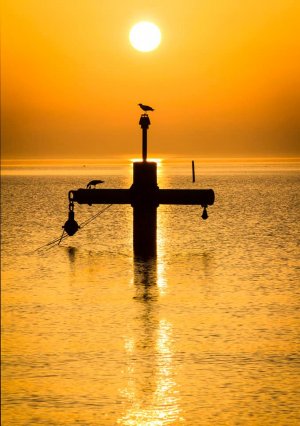 Wschód słońca w orłowie. Na zdjęciu rybacka wyciągarka w wodzie, na której siedzą ptaki. Zdjęcie w żółtych barwach.