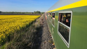 Stary pociąg i pole rzepaku