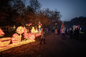 „Ogród Świateł” w Parku Kolibki w Gdyni, fot. Kamil Złoch