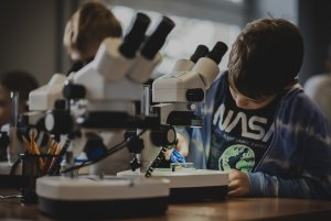 Uczeń przy mikroskopie. // fot. Weronika Podlesińska / Akwarium Gdyńskie MIR-PIB