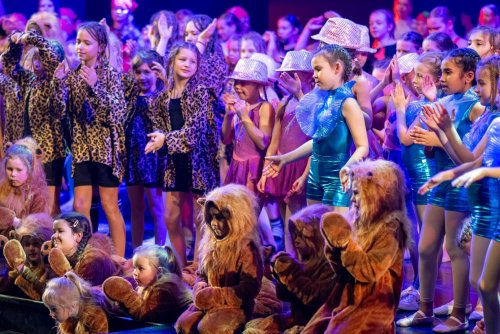 W MDK czeka wiele zajęć dla młodych mieszkańców Gdyni (fot. mat. prasowe MDK)