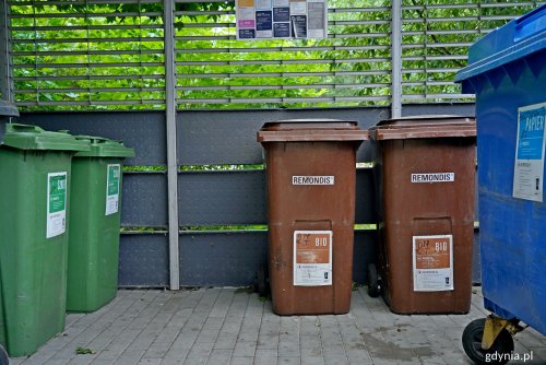 Jedna z pergoli śmietnikowych przy ul. Partyzantów (fot. Magdalena Czernek)
