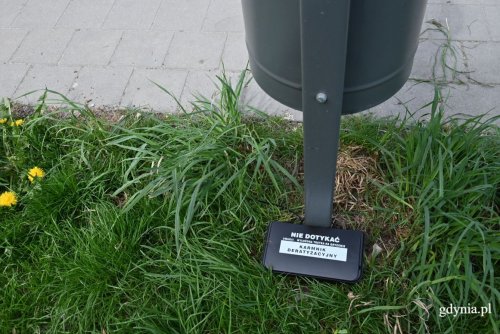 Mieszkańcy proszeni są aby nie przestawiać, nie otwierać i nie dotykać stacji deratyzacyjnych umieszczonych w Parku Centralnym (fot. Zofia Marczak)