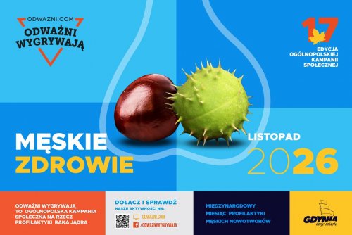 Grafika organizatora.