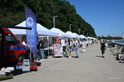 Stoiska gdyńskich organizacji pozarządowych ustawione wzdłuż bulwaru Nadmorskiego w ramach Gdyńskiego Pikniku Pozarządowego (fot. Michał Puszczewicz)