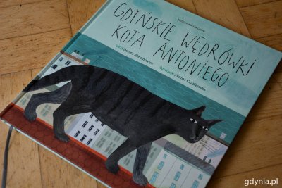 „Gdyńskie wędrówki kota Antoniego” nominowane do nagrody Dobry Wzór 2020 // fot. Paweł Kukla
