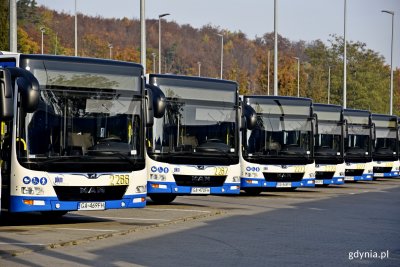 Na zdj. gdyńskie autobusy, fot. Paweł Kukla.